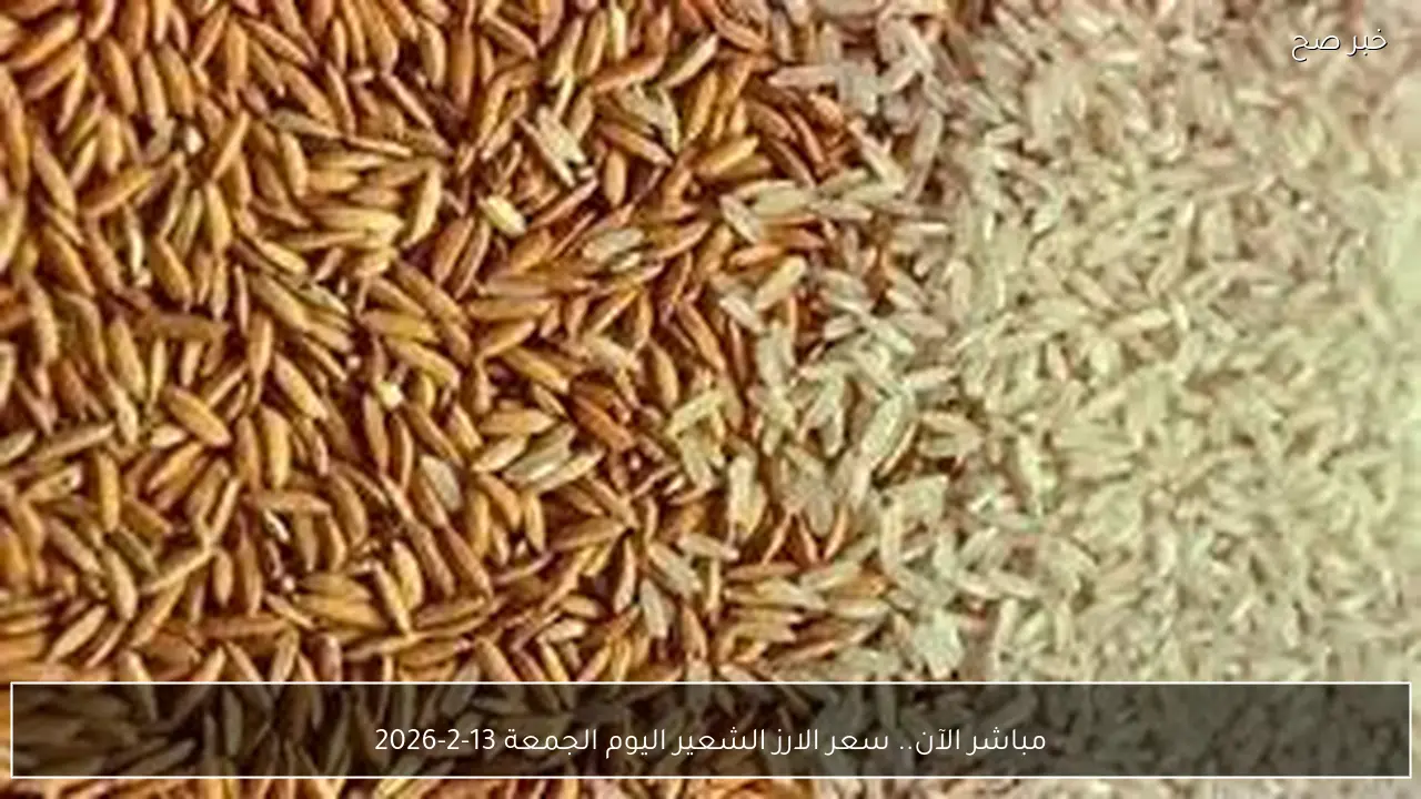 مباشر الآن.. سعر الارز الشعير اليوم الجمعة 13-2-2026 في كافة الاسواق المصرية