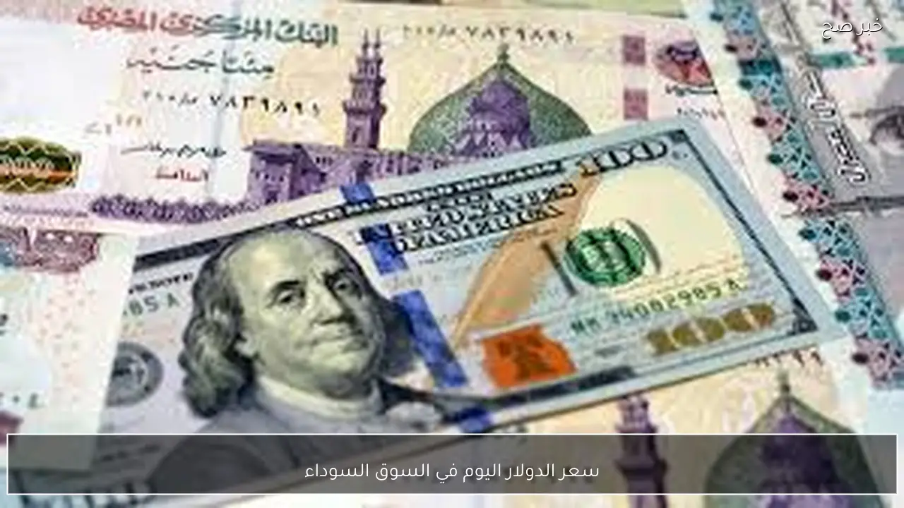 100 دولار بكام؟.. سعر الدولار اليوم في السوق السوداء الاحد 15-2-2026 مقابل الجنيه المصري