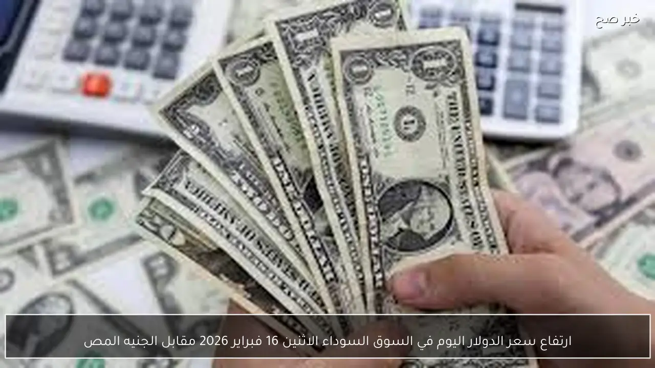 ارتفاع سعر الدولار اليوم في السوق السوداء الاثنين 16 فبراير 2026 مقابل الجنيه المصري بيع وشراء