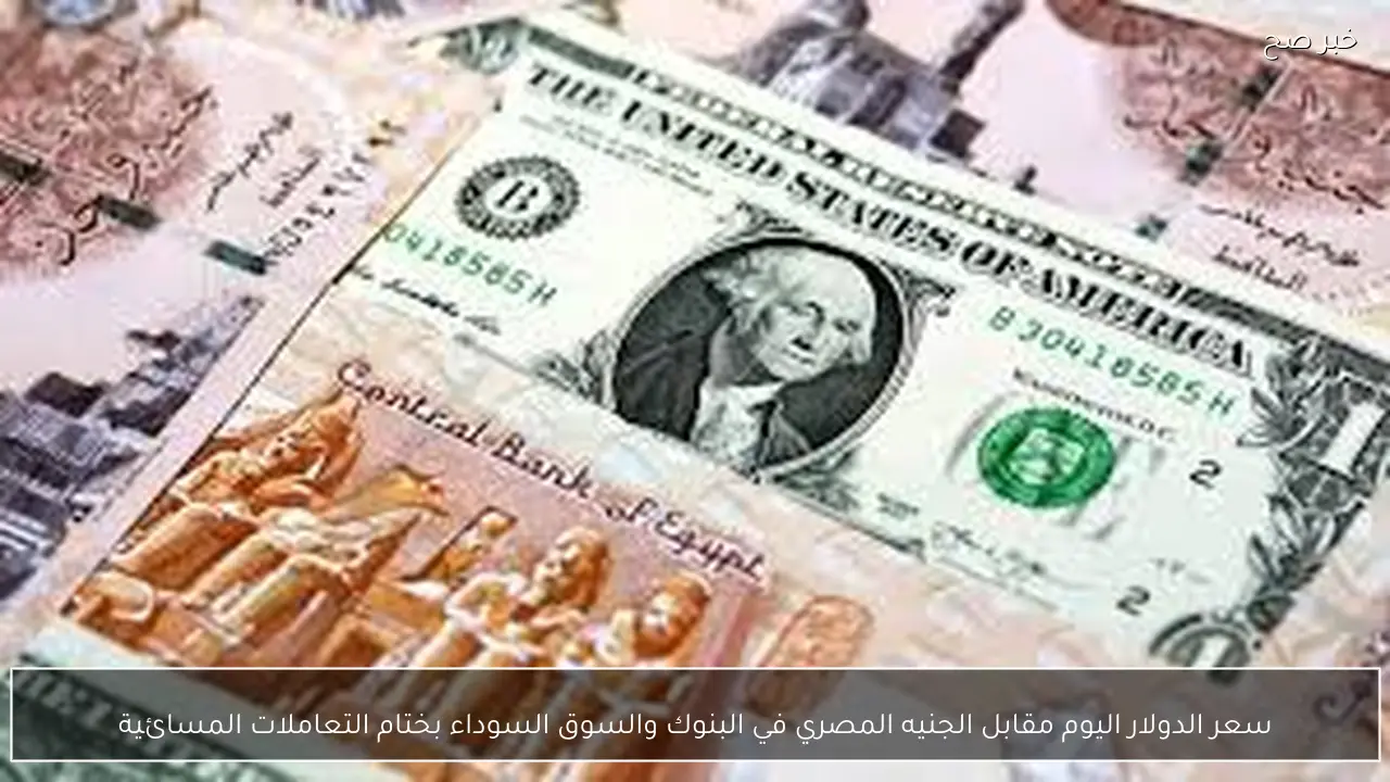 سعر الدولار اليوم مقابل الجنيه المصري في البنوك والسوق السوداء بختام التعاملات المسائية