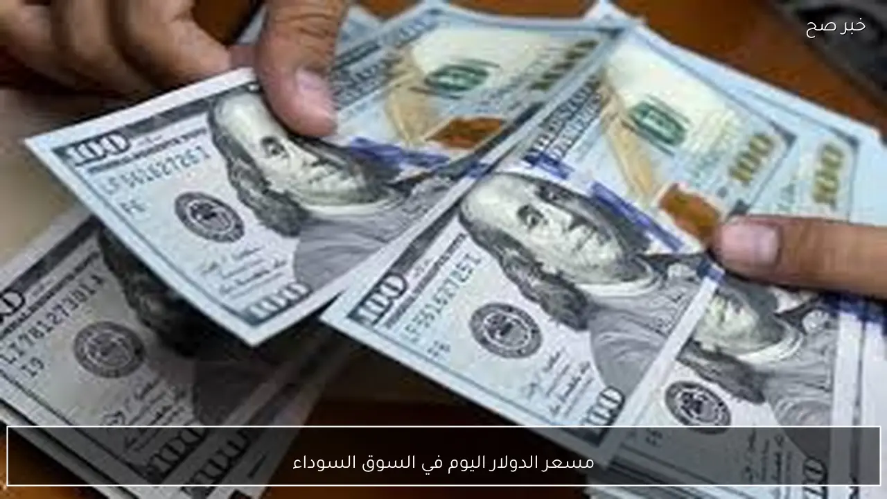 مباشر الآن.. سعر الدولار اليوم في السوق السوداء السبت 28 فبراير 2026 مقابل الجنيه المصري