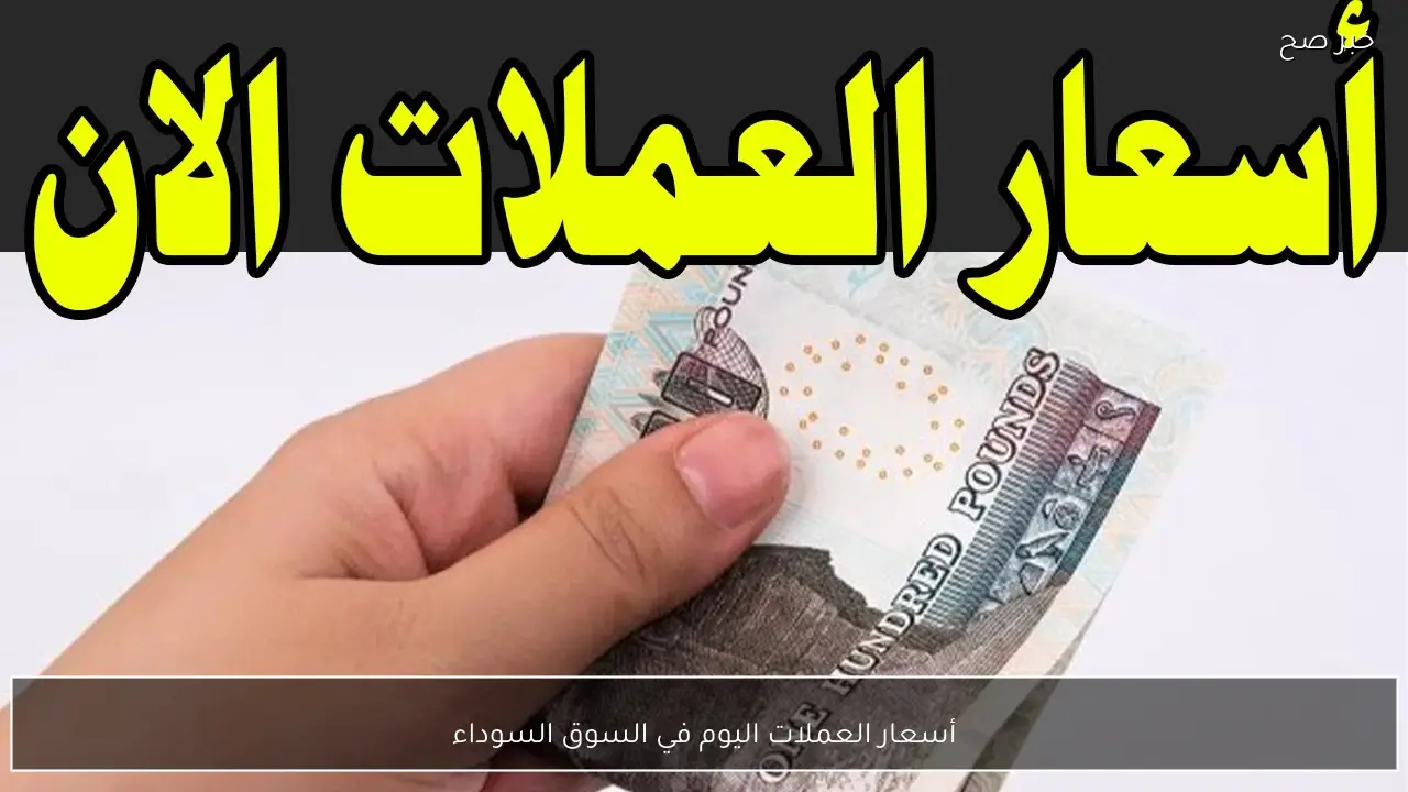 “بين ارتفاع وانخفاض”.. أسعار العملات اليوم في السوق السوداء مقابل الجنية المصري