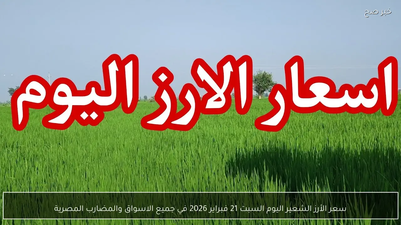 الطن بكام؟.. سعر الأرز الشعير اليوم السبت 21 فبراير 2026 في الاسواق والمضارب المصرية