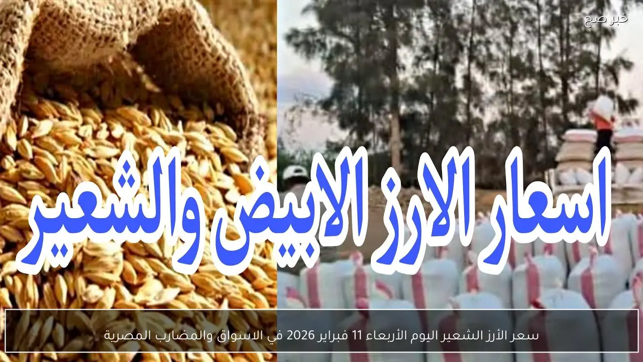 سعر الأرز الشعير اليوم الأربعاء 11 فبراير 2026 في الاسواق والمضارب المصرية