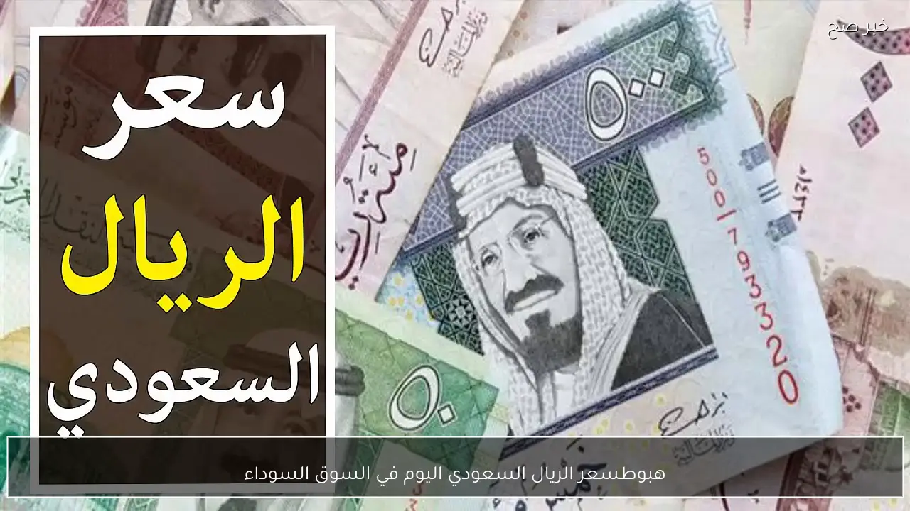 هبوط سعر الريال السعودي اليوم في السوق السوداء مقابل الجنية المصري.. 100 ريال كم جنية؟