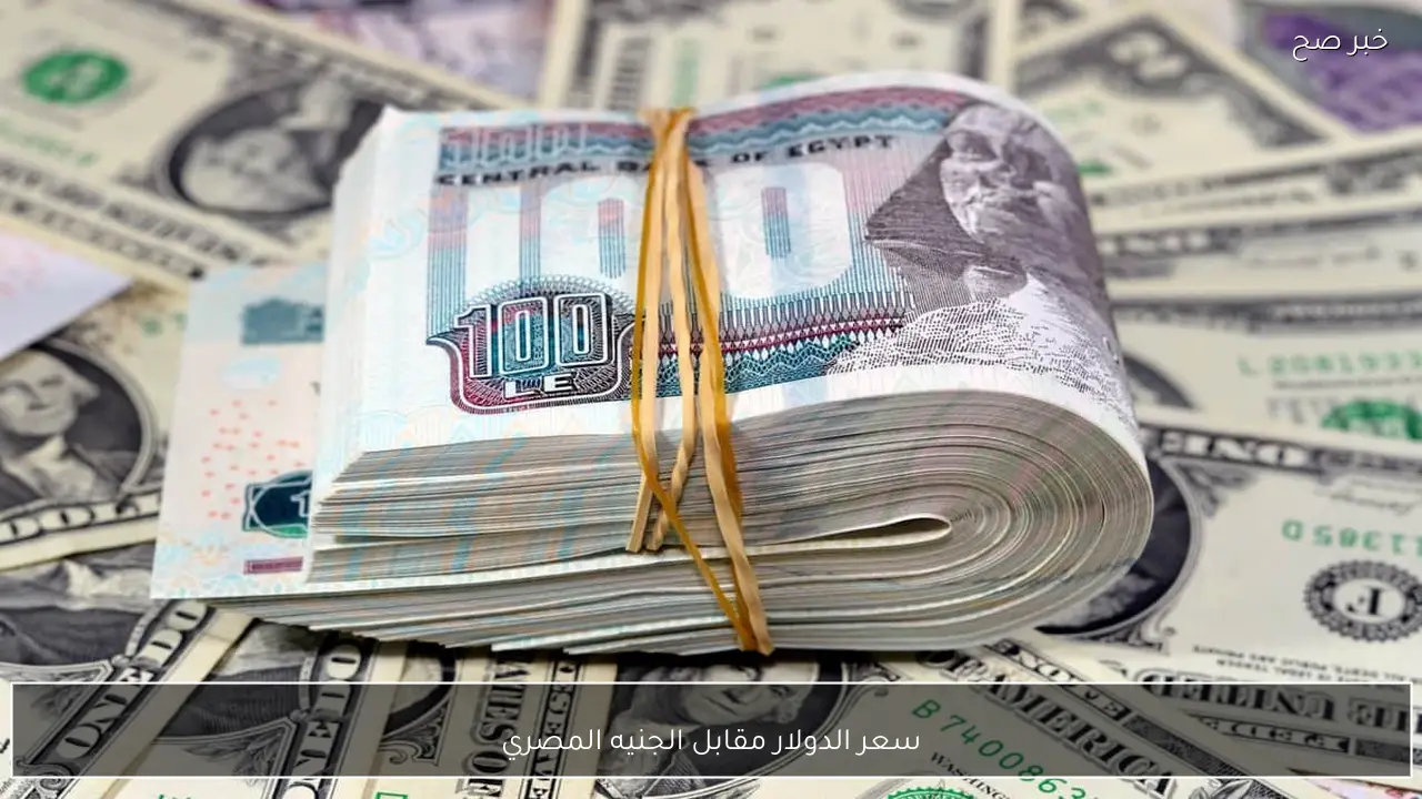 استقرار ام ارتفاع.. سعر الدولار مقابل الجنيه المصري الخميس 19-2-2026 في البنوك الحكومية والخاصة