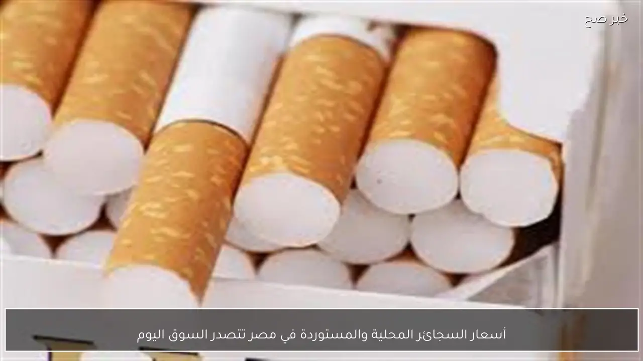 أسعار السجائر المحلية والمستوردة في مصر تتصدر السوق اليوم