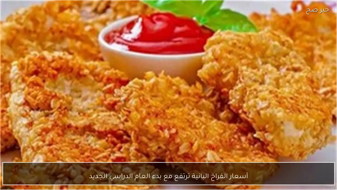 أسعار الفراخ البانية ترتفع مع بدء العام الدراسي الجديد