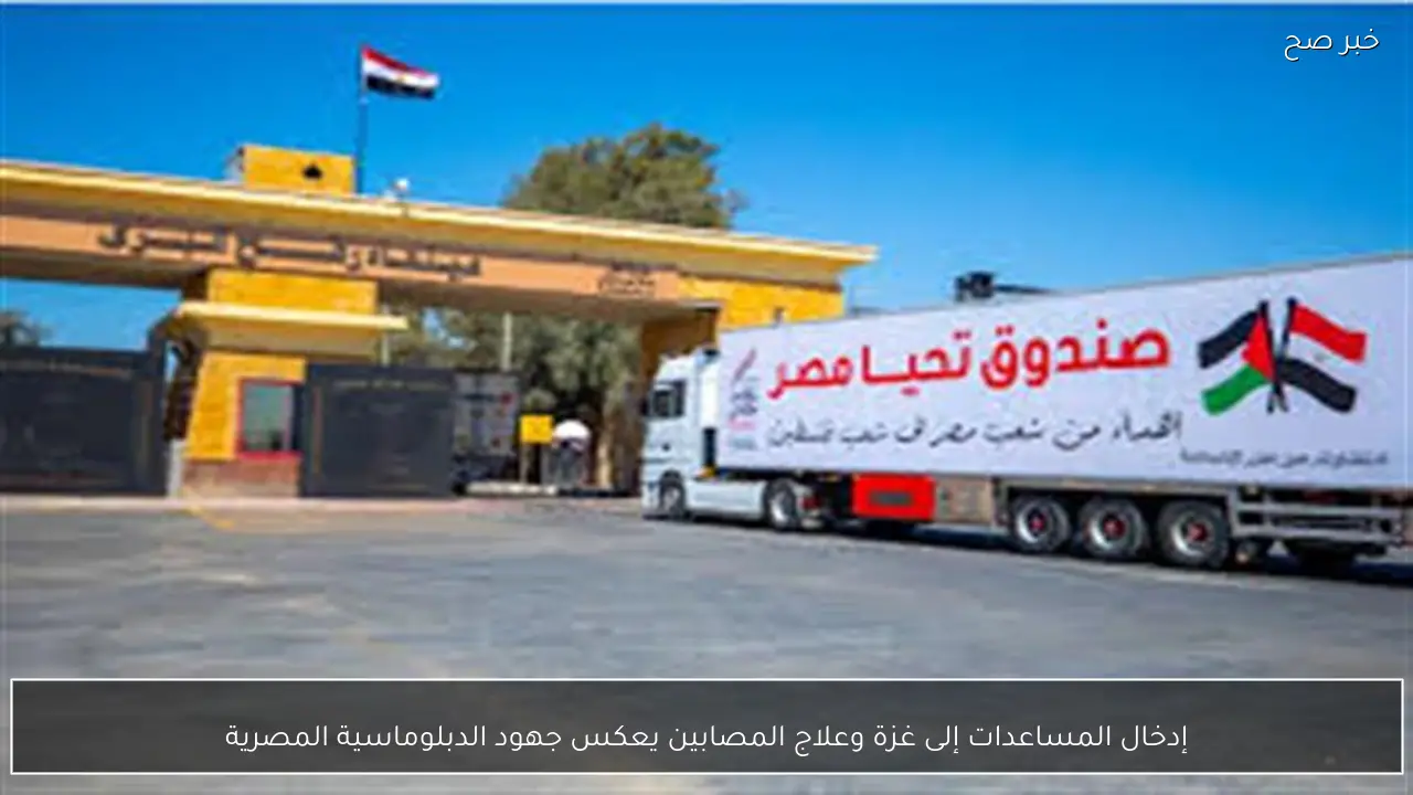 إدخال المساعدات إلى غزة وعلاج المصابين يعكس جهود الدبلوماسية المصرية