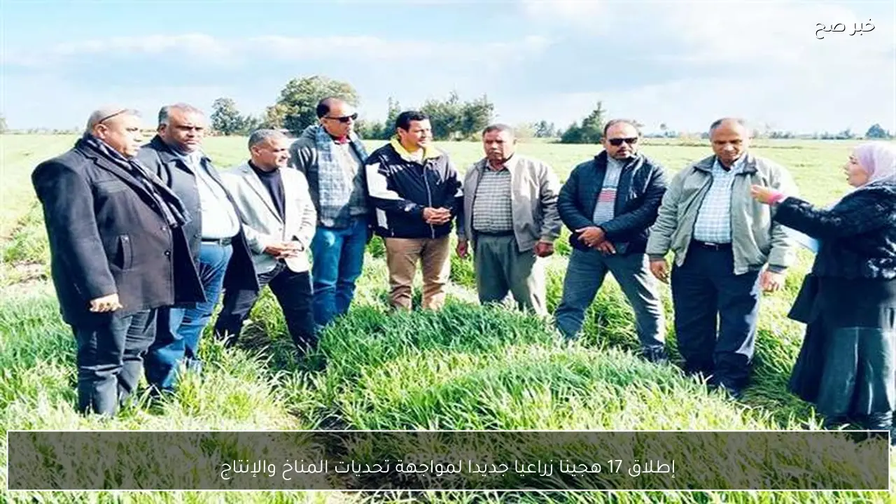 إطلاق 17 هجينا زراعيا جديدا لمواجهة تحديات المناخ والإنتاج