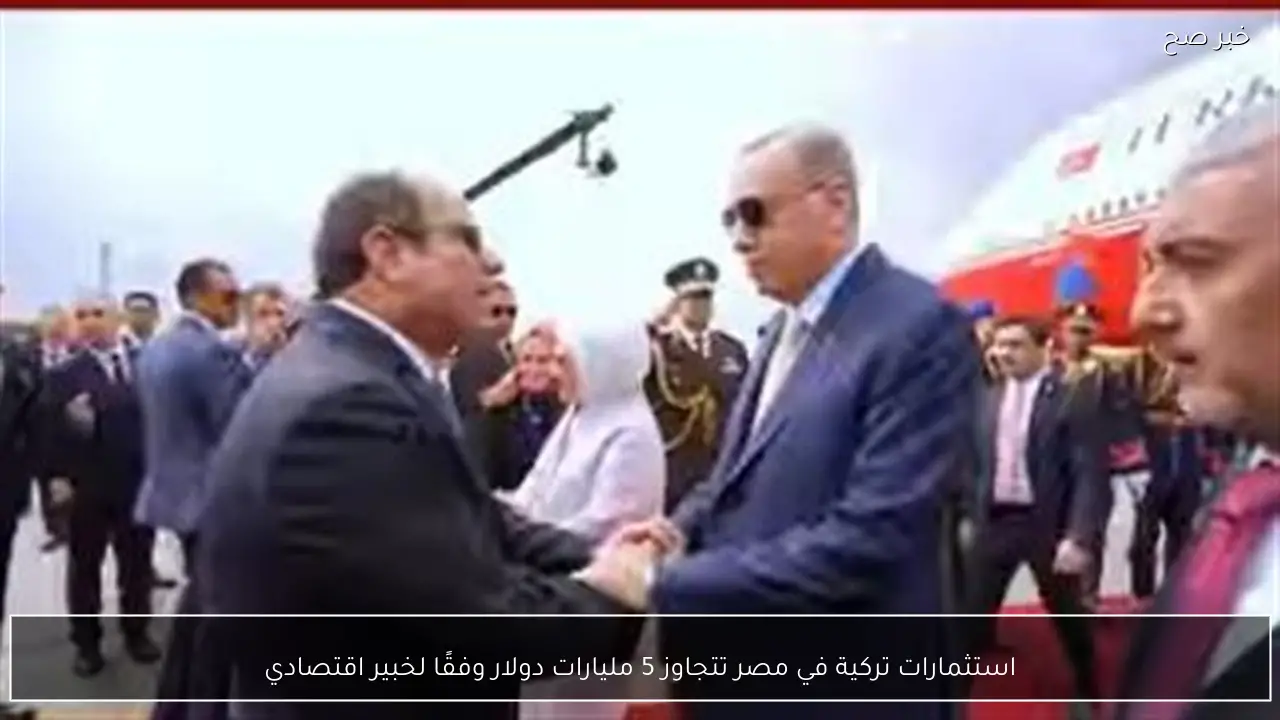 استثمارات تركية في مصر تتجاوز 5 مليارات دولار وفقًا لخبير اقتصادي