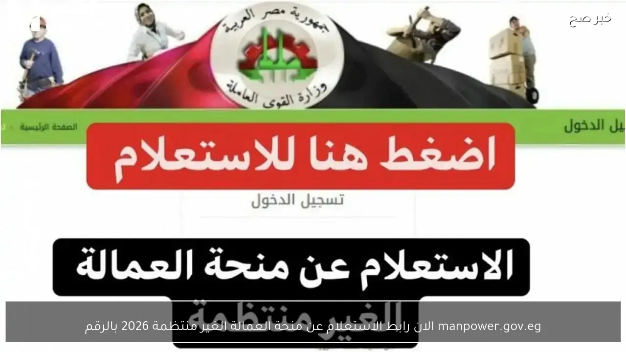 manpower.gov.eg الان رابط الاستعلام عن منحة العمالة الغير منتظمة 2026 بالرقم القومي من موقع الوزارة