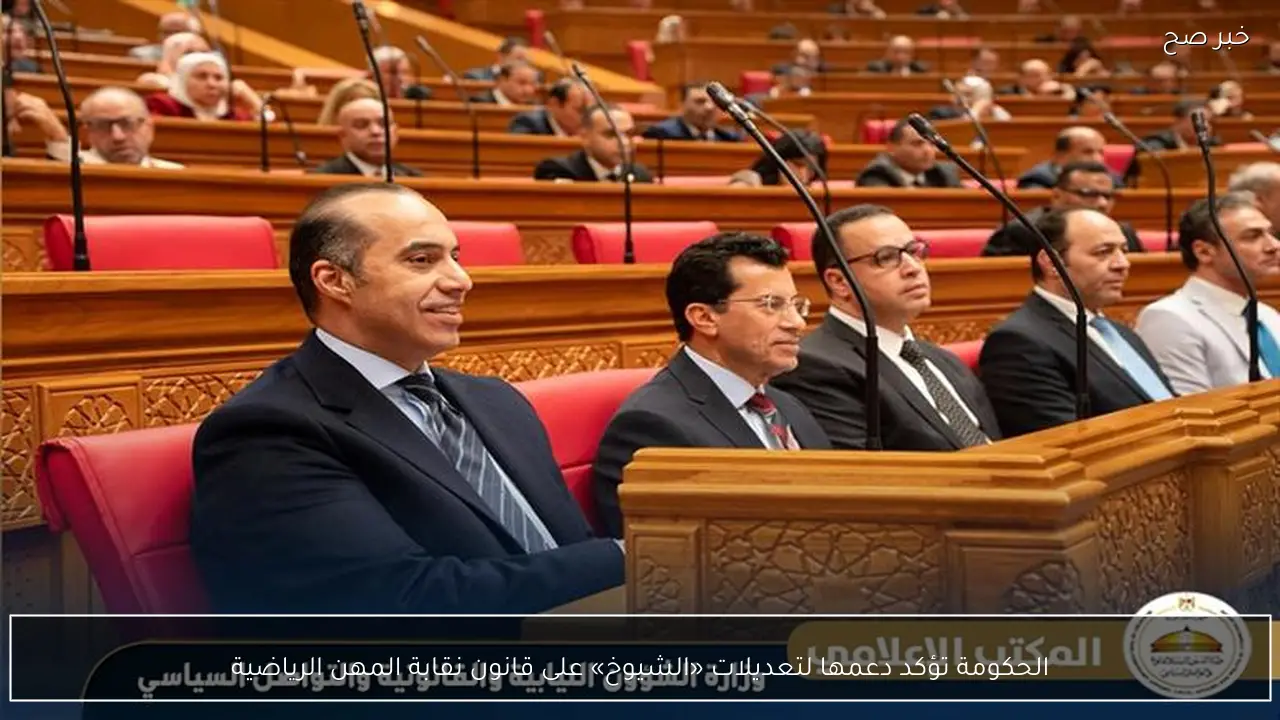 الحكومة تؤكد دعمها لتعديلات «الشيوخ» على قانون نقابة المهن الرياضية