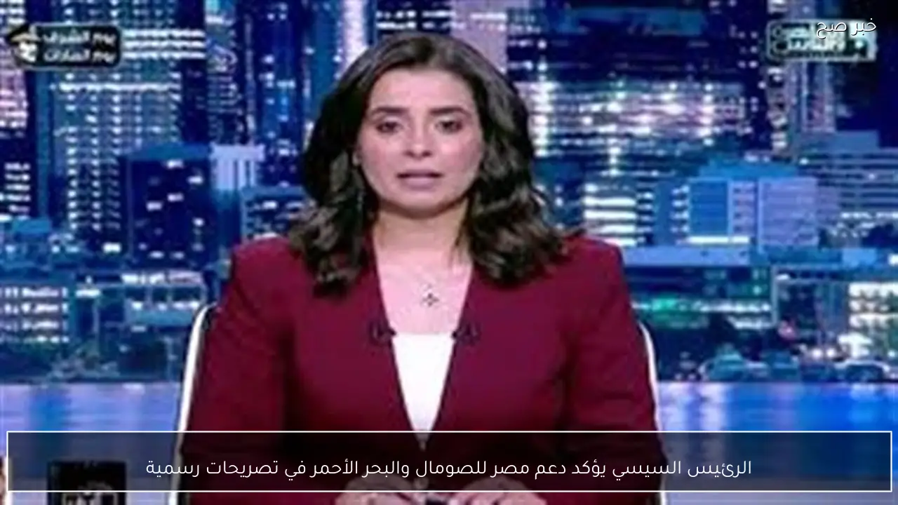 الرئيس السيسي يؤكد دعم مصر للصومال والبحر الأحمر في تصريحات رسمية