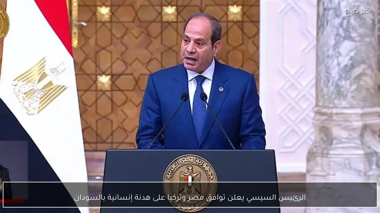 الرئيس السيسي يعلن توافق مصر وتركيا على هدنة إنسانية بالسودان
