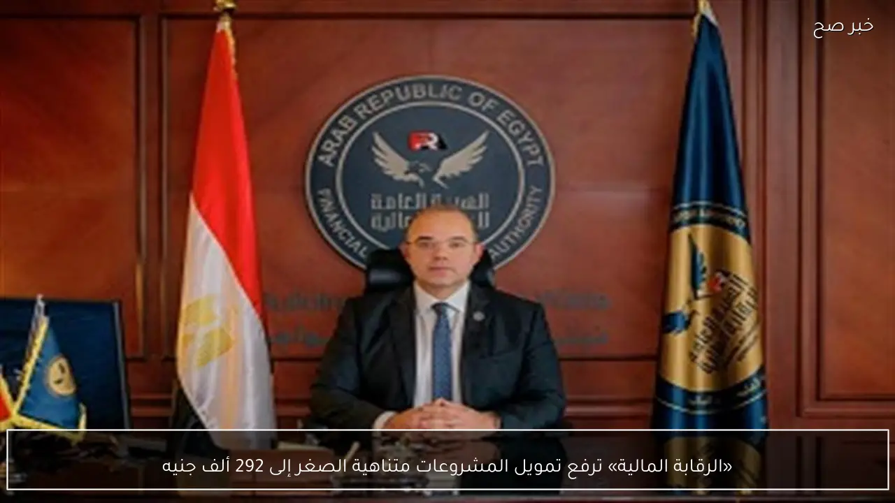 «الرقابة المالية» ترفع تمويل المشروعات متناهية الصغر إلى 292 ألف جنيه