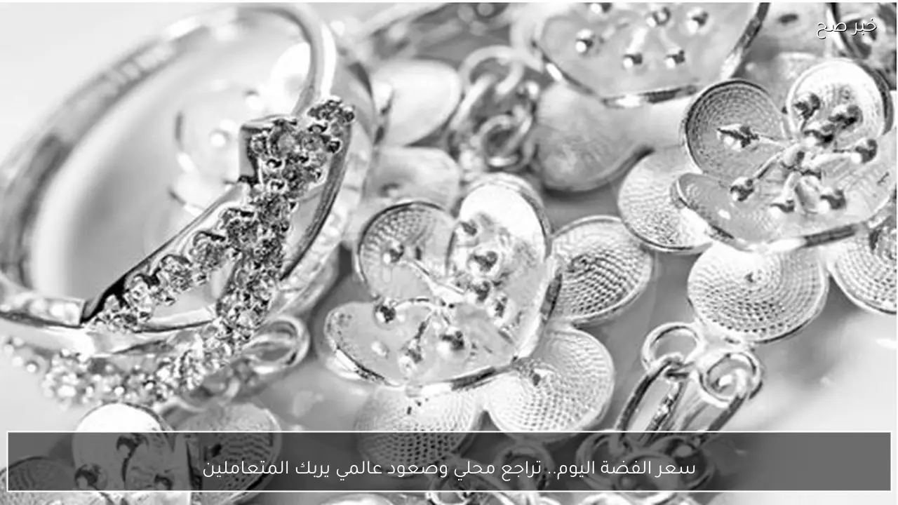سعر الفضة اليوم.. تراجع محلي وصعود عالمي يربك المتعاملين