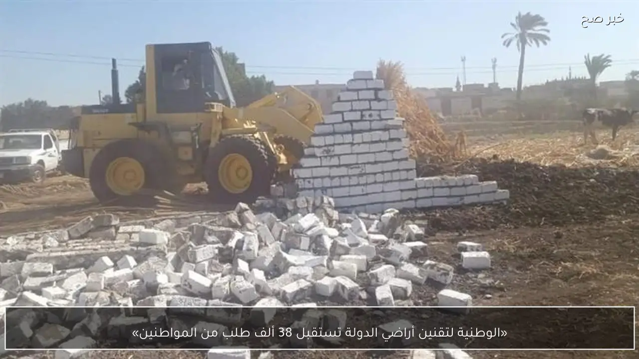 «الوطنية لتقنين أراضي الدولة تستقبل 38 ألف طلب من المواطنين»