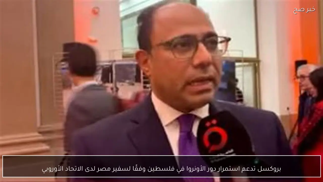 بروكسل تدعم استمرار دور الأونروا في فلسطين وفقًا لسفير مصر لدى الاتحاد الأوروبي