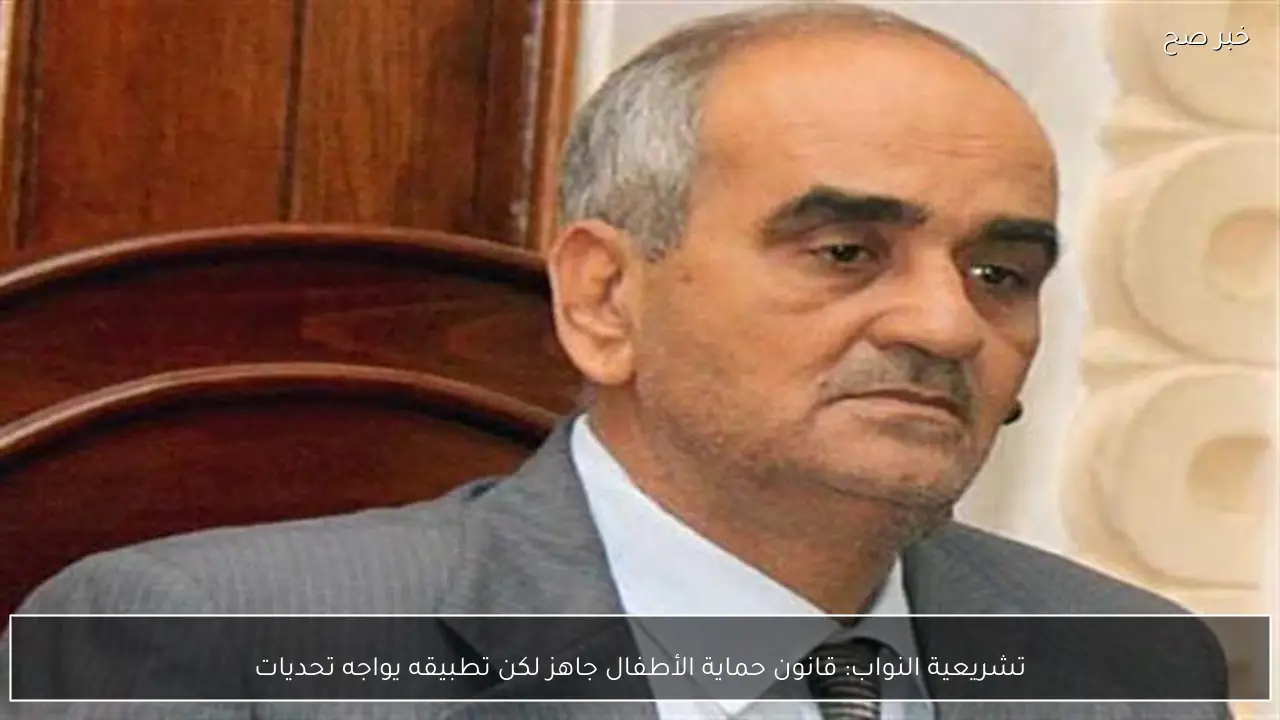 تشريعية النواب: قانون حماية الأطفال جاهز لكن تطبيقه يواجه تحديات