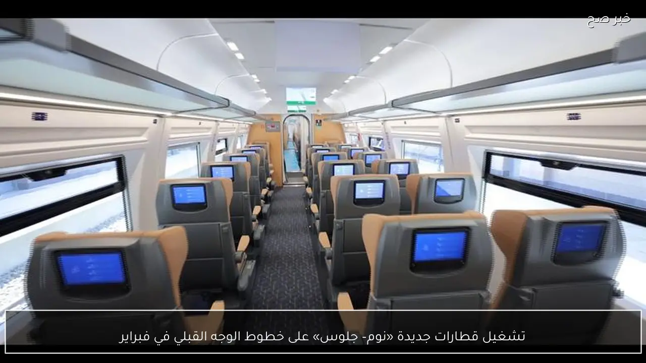 تشغيل قطارات جديدة «نوم– جلوس» على خطوط الوجه القبلي في فبراير