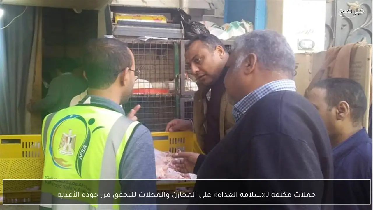 حملات مكثفة لـ«سلامة الغذاء» على المخازن والمحلات للتحقق من جودة الأغذية