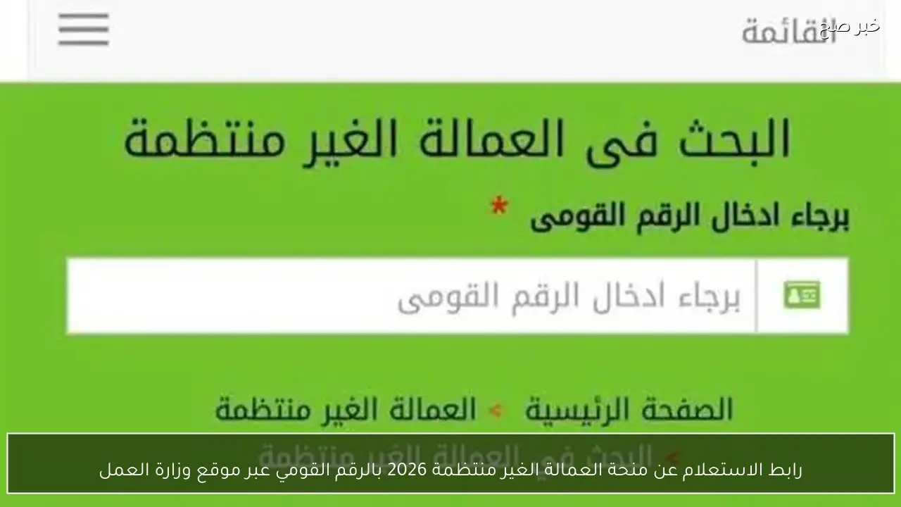 الاستعلام عن منحة العمالة الغير منتظمة 2026 بالرقم القومي والفئات المستحقة