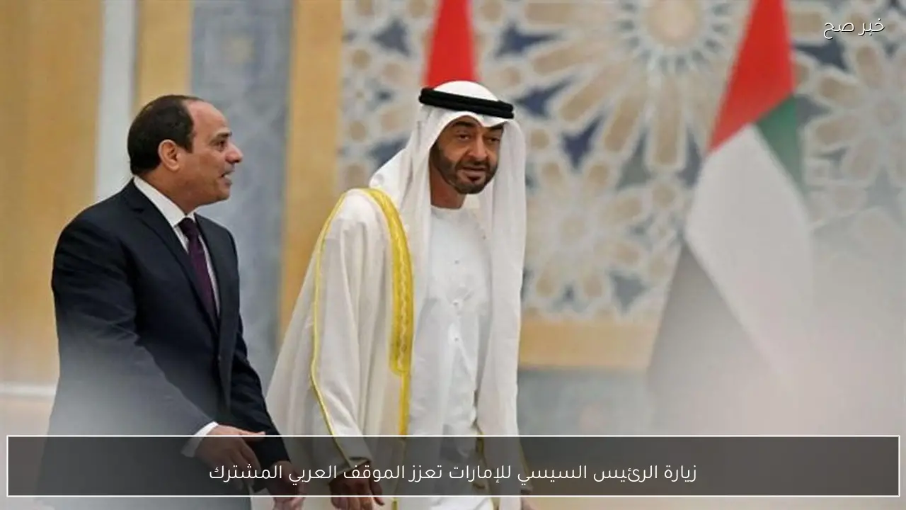 زيارة الرئيس السيسي للإمارات تعزز الموقف العربي المشترك