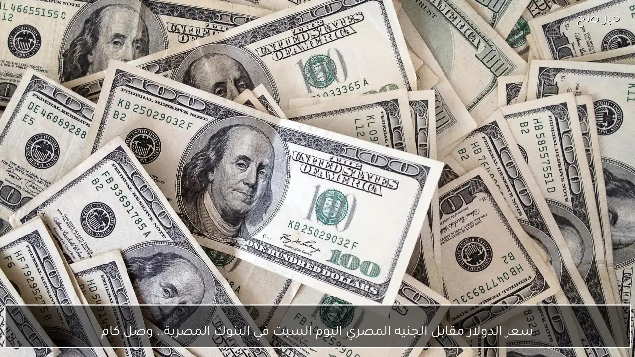 سعر الدولار مقابل الجنيه المصري اليوم السبت في البنوك المصرية.. وصل كام