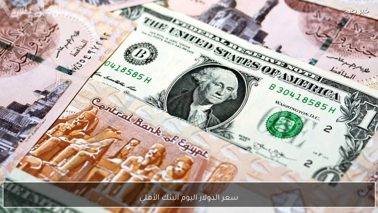 سعر الدولار اليوم البنك الأهلي والبنوك الحكومية والخاصة مقابل الجنيه المصري وفق آخر تحديث