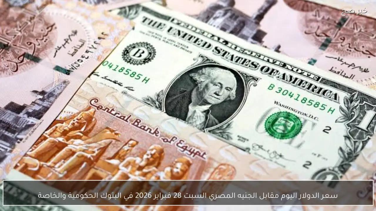 سعر الدولار اليوم مقابل الجنيه المصري السبت 28 فبراير 2026 في البنوك الحكومية والخاصة