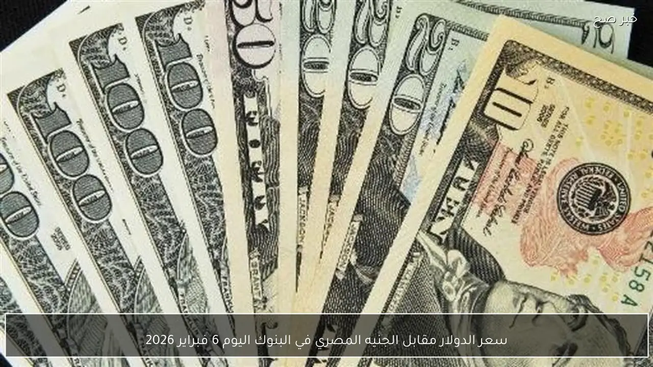 سعر الدولار مقابل الجنيه المصري في البنوك اليوم 6 فبراير 2026