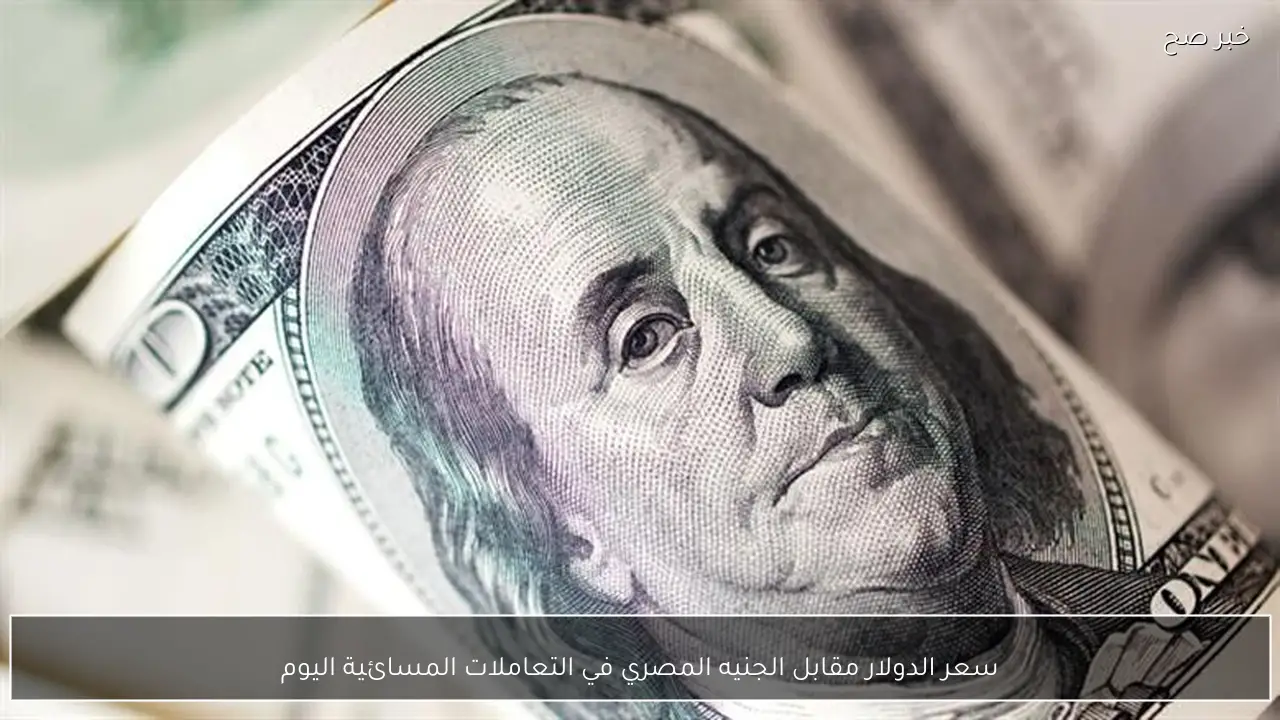 سعر الدولار مقابل الجنيه المصري في التعاملات المسائية اليوم