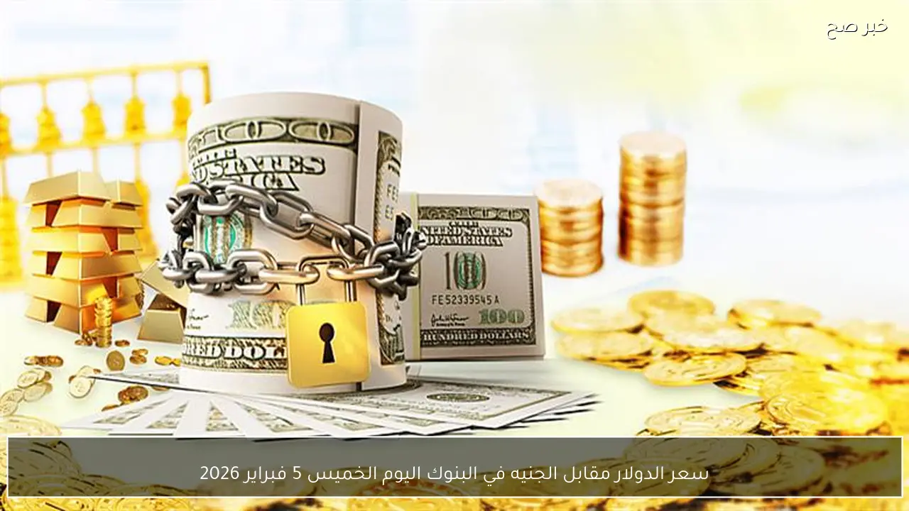 سعر الدولار مقابل الجنيه في البنوك اليوم الخميس 5 فبراير 2026
