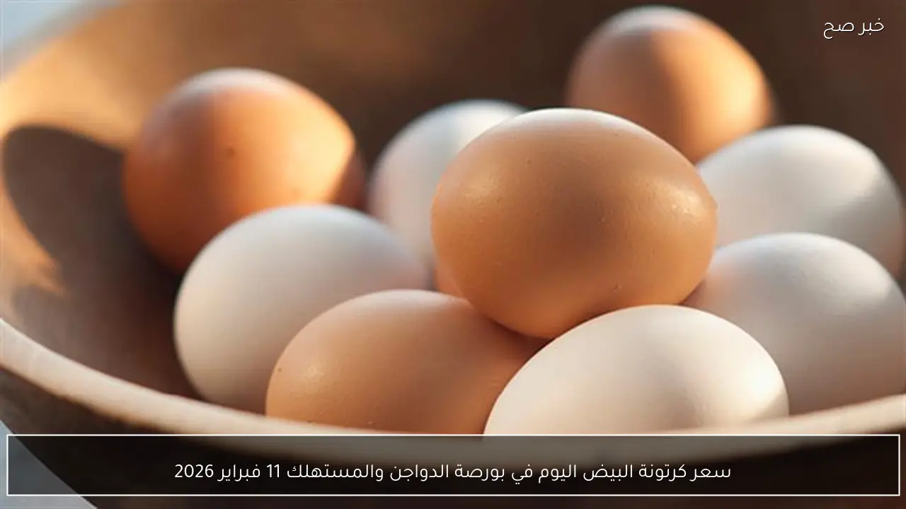 سعر كرتونة البيض اليوم في بورصة الدواجن والمستهلك 11 فبراير 2026