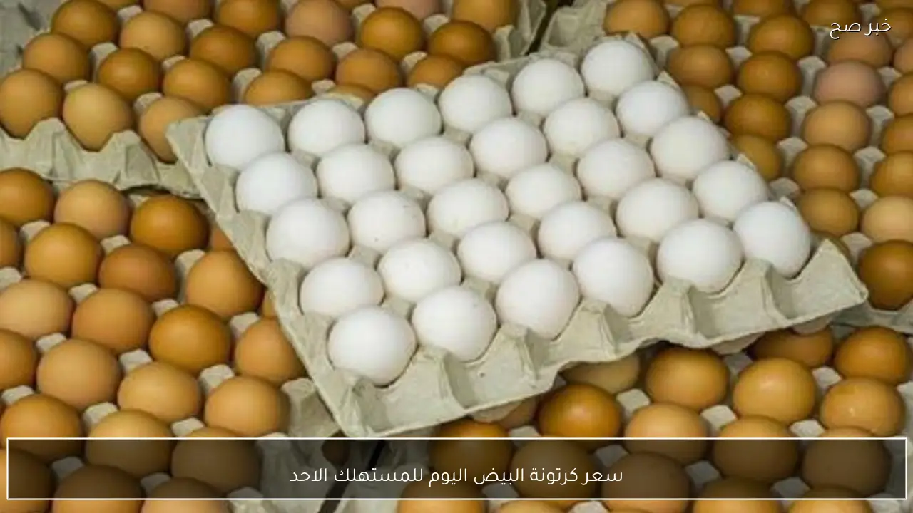 سعر كرتونة البيض اليوم للمستهلك الاحد 1 فبراير 2026 في الأسواق والمزارع
