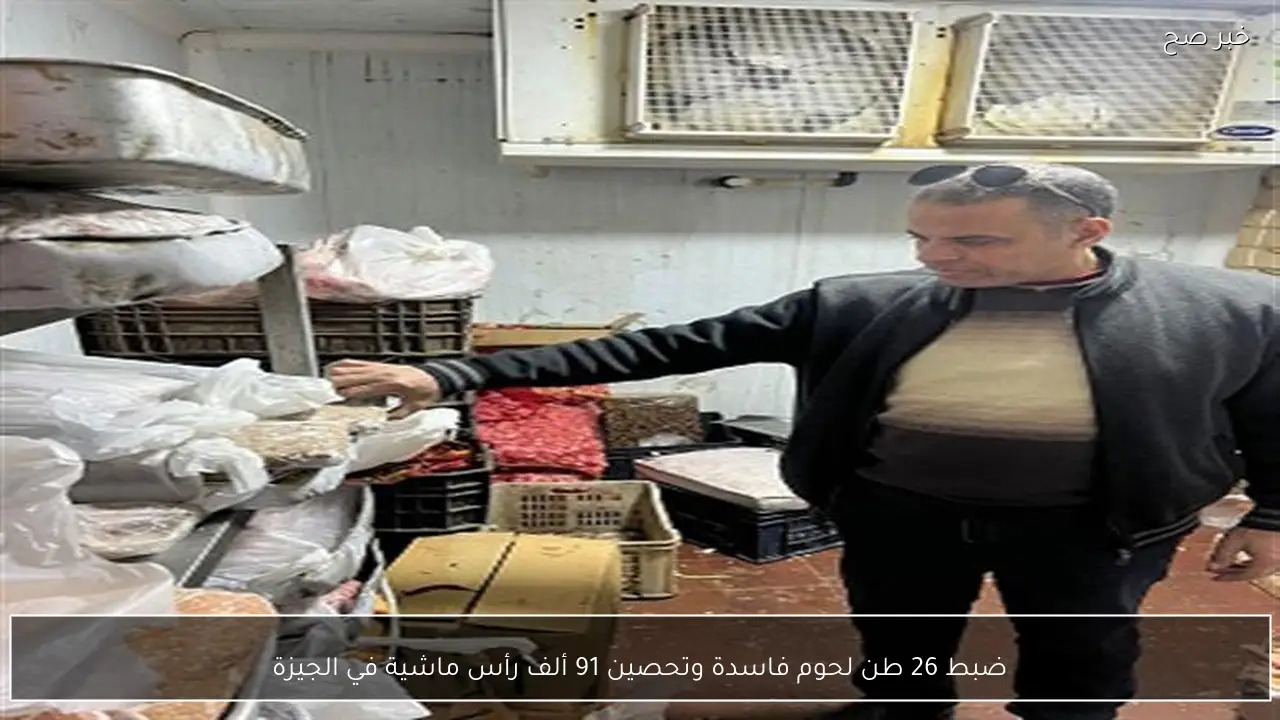 ضبط 26 طن لحوم فاسدة وتحصين 91 ألف رأس ماشية في الجيزة