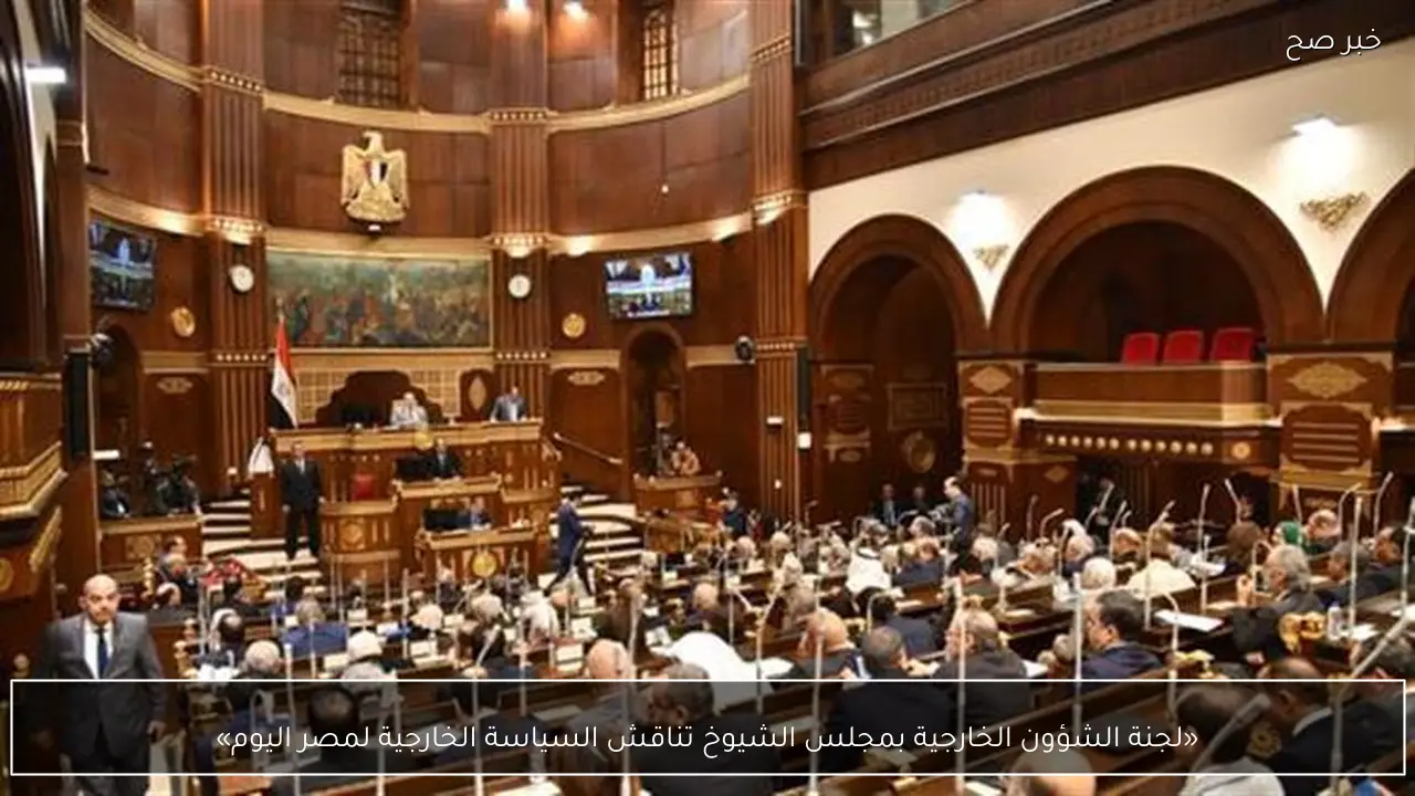 «لجنة الشؤون الخارجية بمجلس الشيوخ تناقش السياسة الخارجية لمصر اليوم»