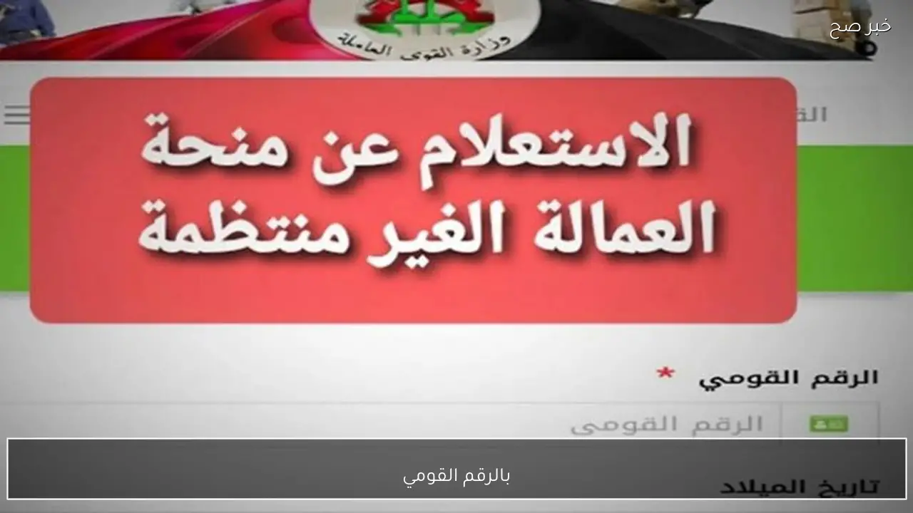 من هنا.. خطوات التسجيل في منحة العمالة الغير منتظمة لاستلام مبلغ 1500 بمناسبة شهر رمضان.. فرصة لا تتكرر