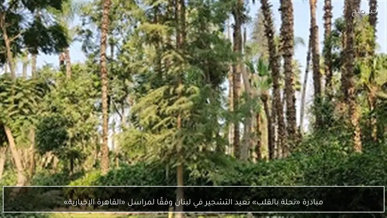 مبادرة «نحلة بالقلب» تعيد التشجير في لبنان وفقًا لمراسل «القاهرة الإخبارية»