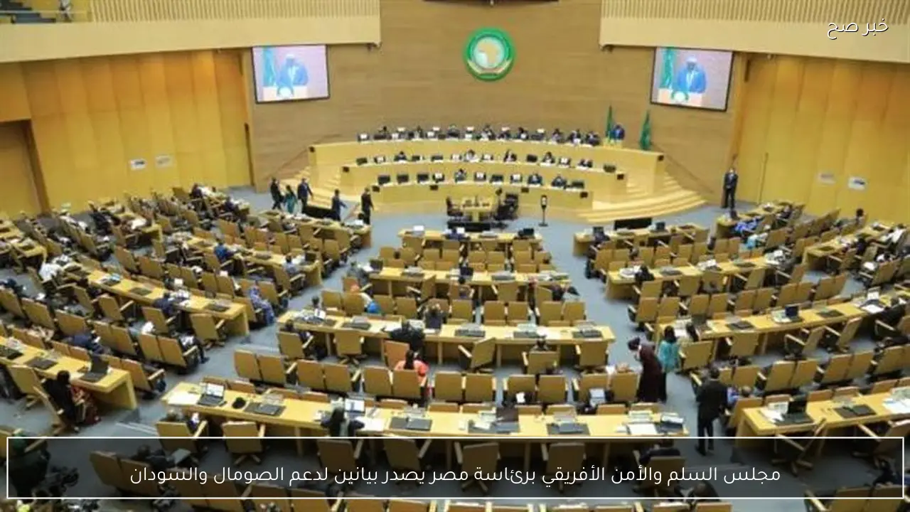 مجلس السلم والأمن الأفريقي برئاسة مصر يصدر بيانين لدعم الصومال والسودان