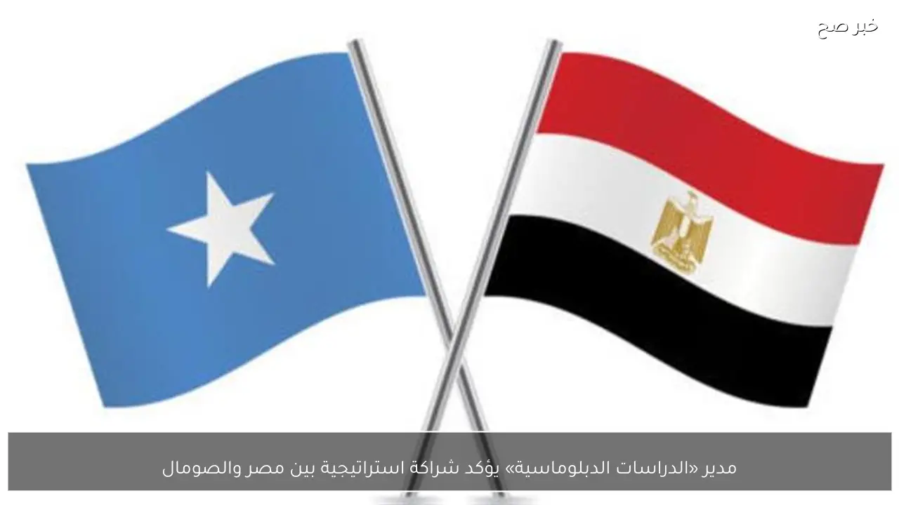 مدير «الدراسات الدبلوماسية» يؤكد شراكة استراتيجية بين مصر والصومال