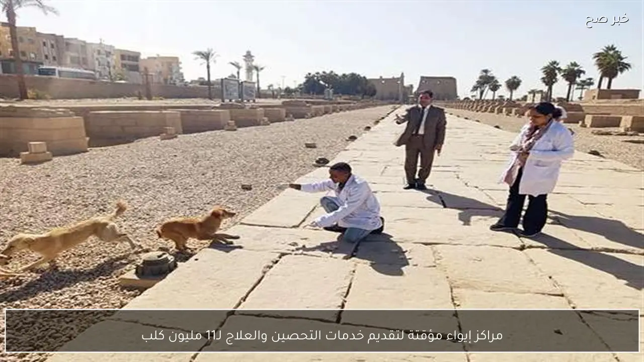 مراكز إيواء مؤقتة لتقديم خدمات التحصين والعلاج لـ11 مليون كلب