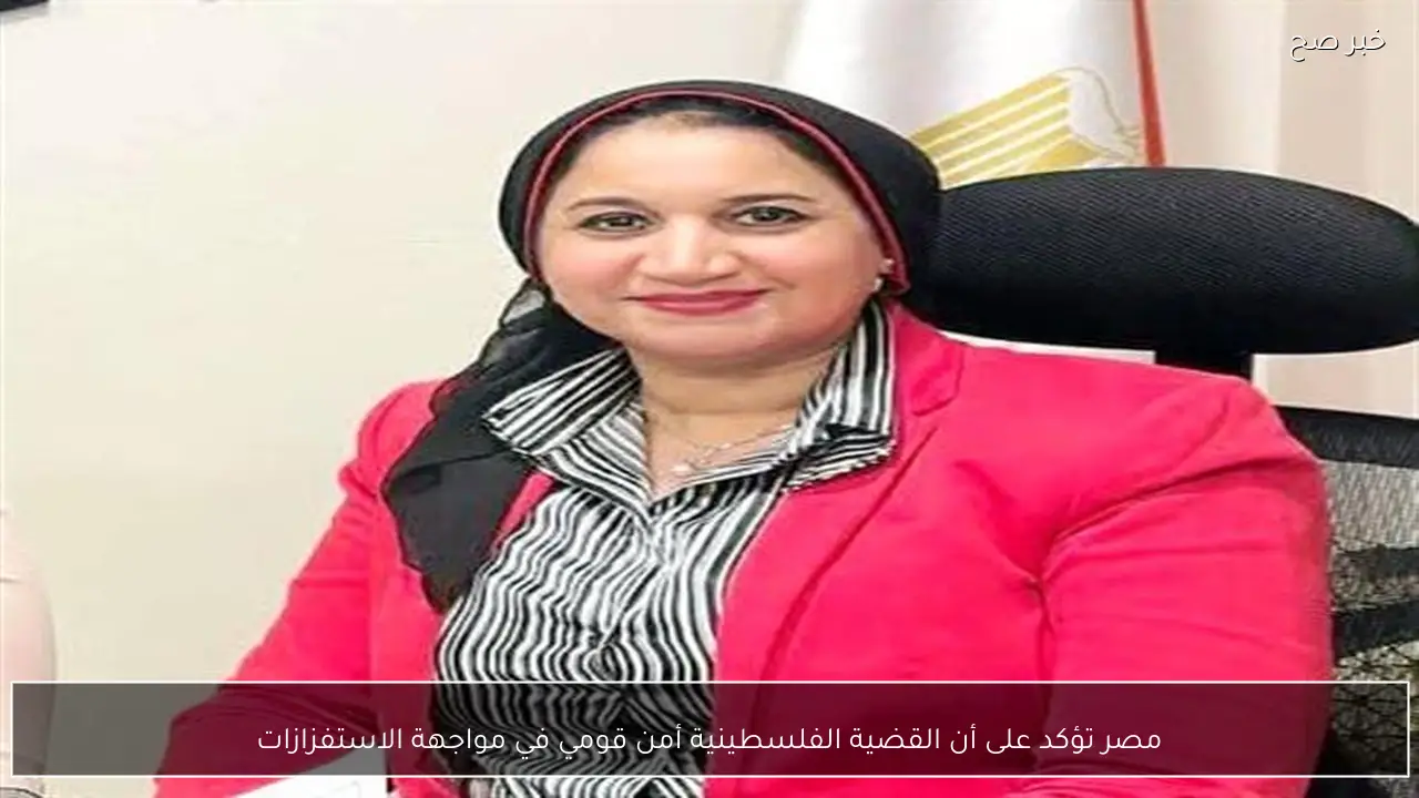 مصر تؤكد على أن القضية الفلسطينية أمن قومي في مواجهة الاستفزازات