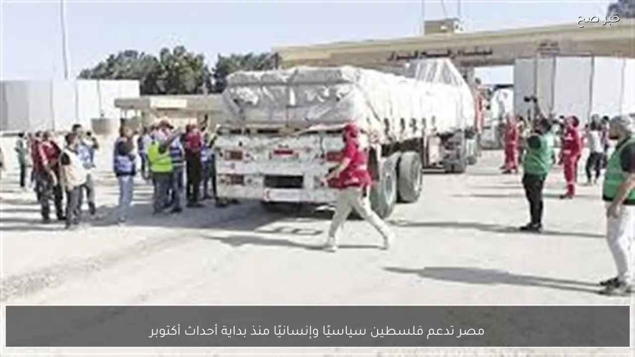 مصر تدعم فلسطين سياسيًا وإنسانيًا منذ بداية أحداث أكتوبر