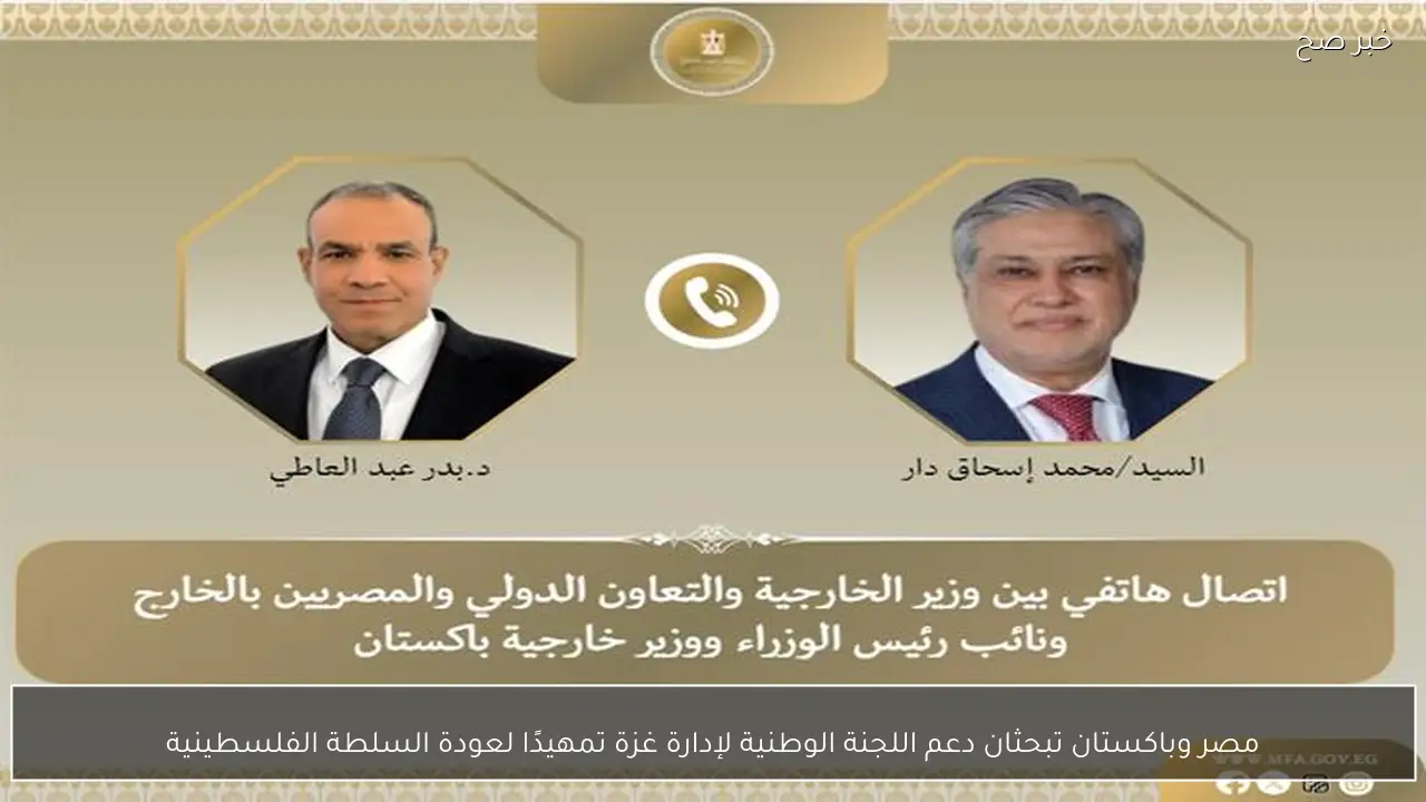 مصر وباكستان تبحثان دعم اللجنة الوطنية لإدارة غزة تمهيدًا لعودة السلطة الفلسطينية