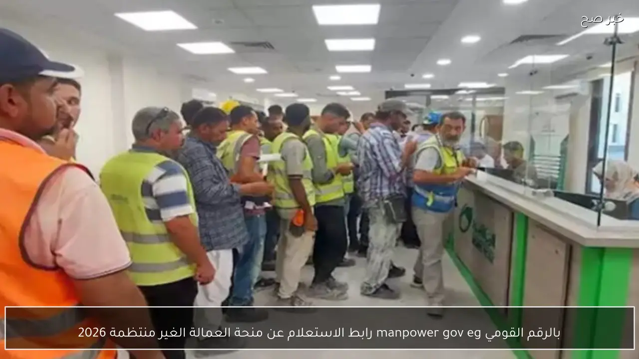بالرقم القومي manpower gov eg رابط الاستعلام عن منحة العمالة الغير منتظمة 2026