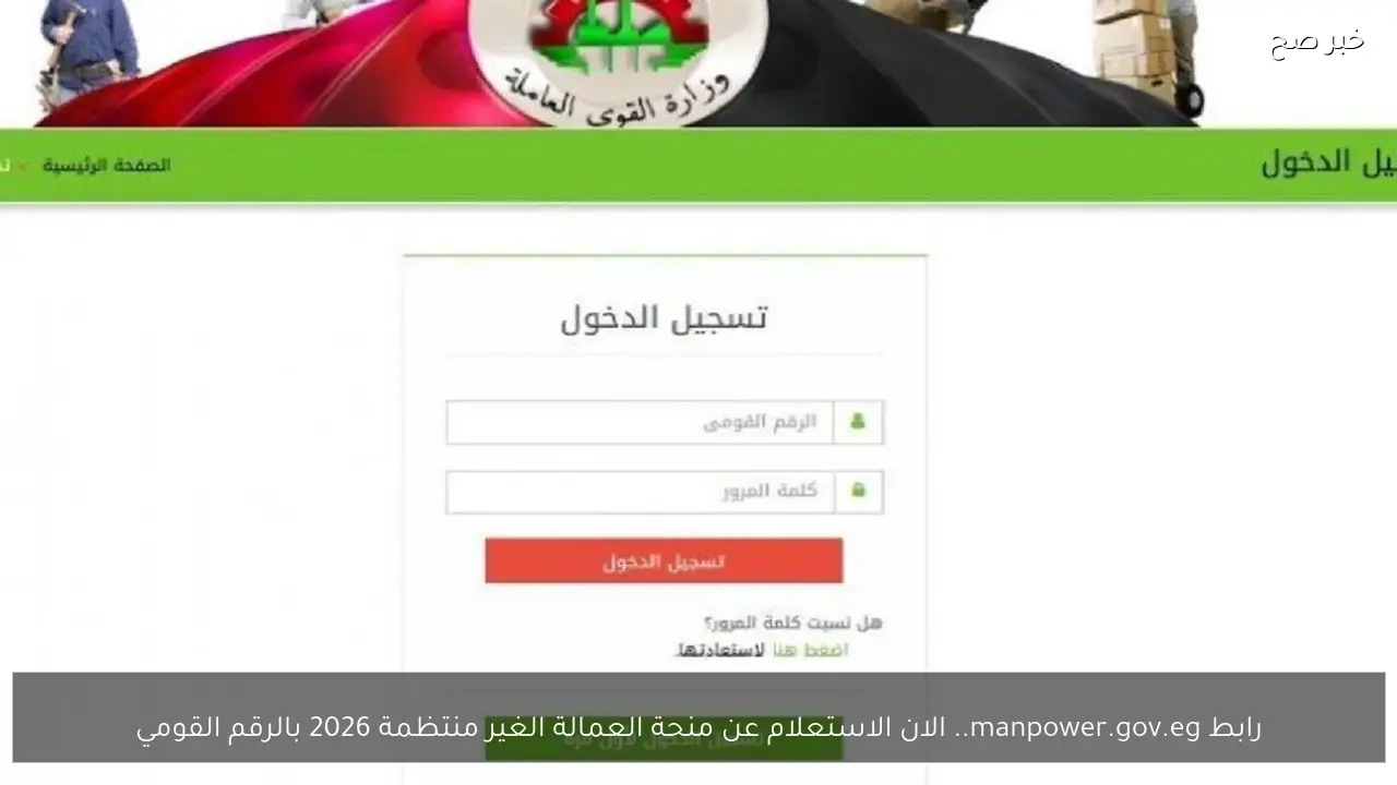 رابط manpower.gov.eg.. الان الاستعلام عن منحة العمالة الغير منتظمة 2026 بالرقم القومي