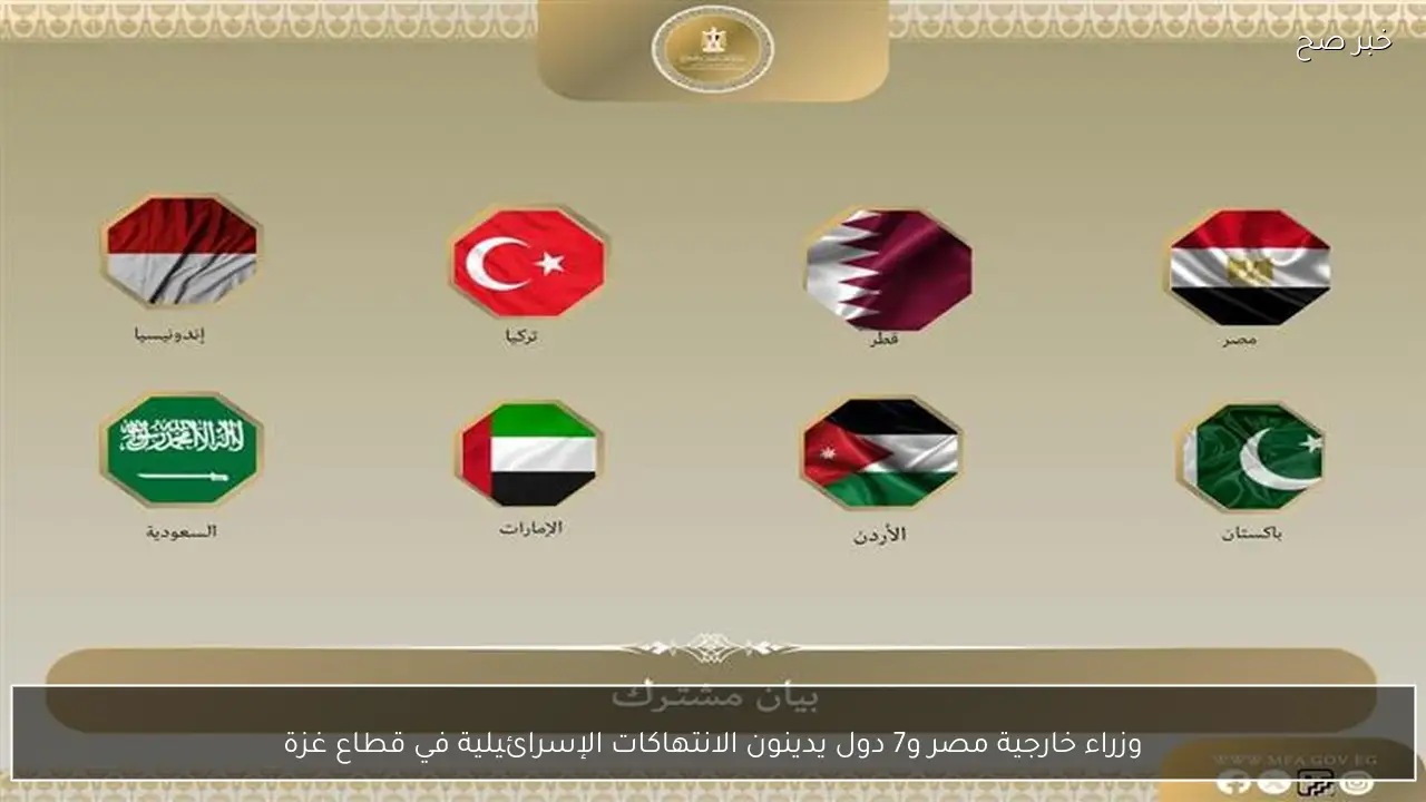 وزراء خارجية مصر و7 دول يدينون الانتهاكات الإسرائيلية في قطاع غزة