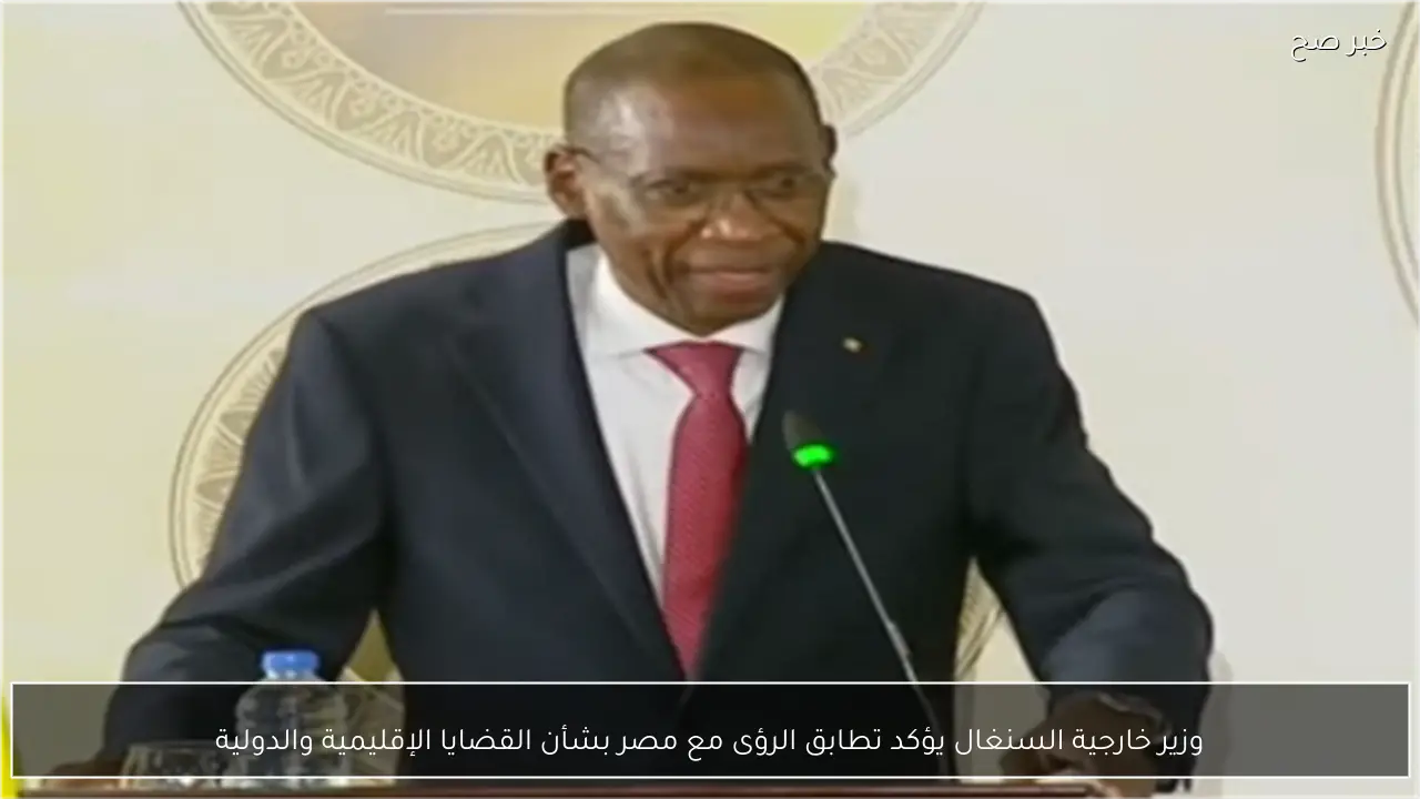 وزير خارجية السنغال يؤكد تطابق الرؤى مع مصر بشأن القضايا الإقليمية والدولية